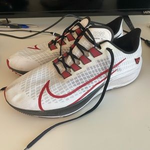 Special Addition Arizona Cardinals Nike Pegasus